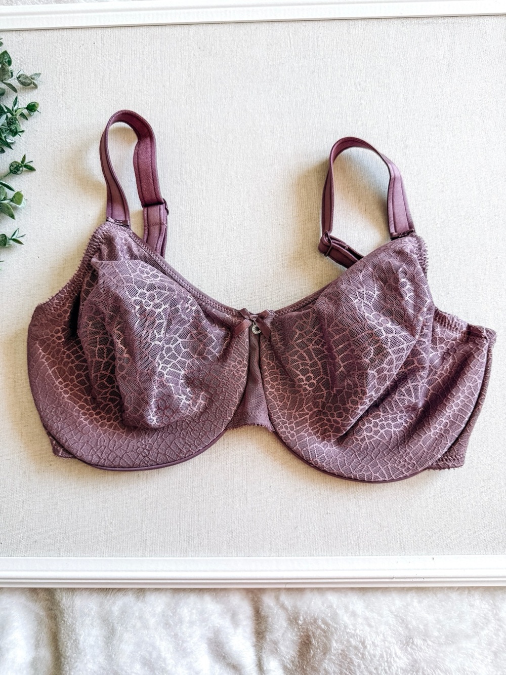 Chantelle C Magnifique Lace Underwire Bra Mauve Purple Size 36DDDD 36F